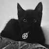 mymessykitty